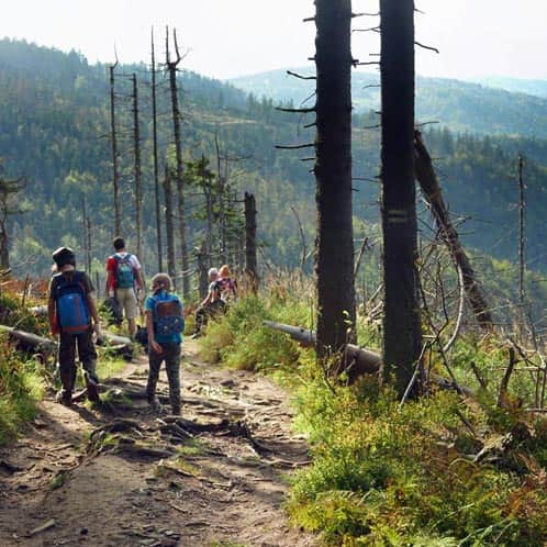 Beskids - the most beautiful trails and routes for children