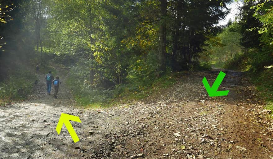 Początek wycieczki w Porębie Górnej: w lewo odchodzi żółty szlak, drogą po prawej wrócimy tu zielonym szlakiem
