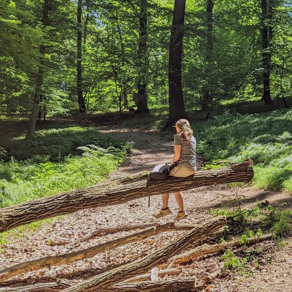 The Most Beautiful Walking Trails in Wolski Forest