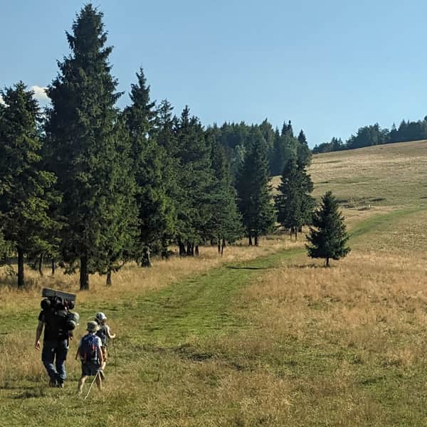 Hiking to Wysoka through the Biała Woda Reserve and Przełęcz Rozdziela