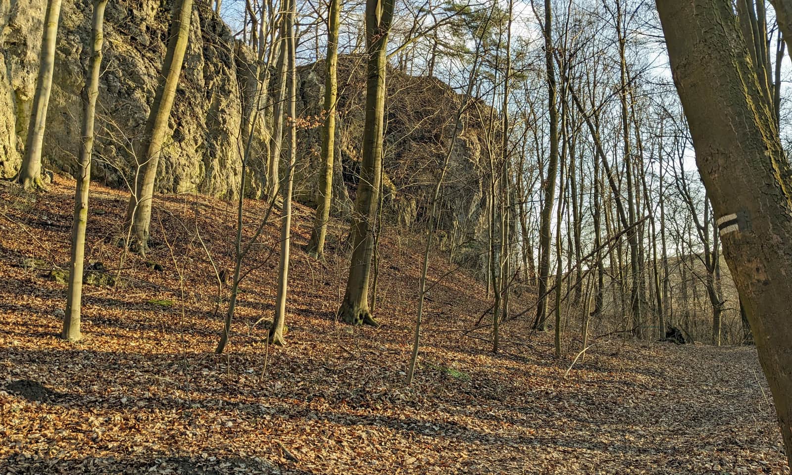 Wąwóz Ostryszni w Dłubniańskim Parku Krajobrazowym