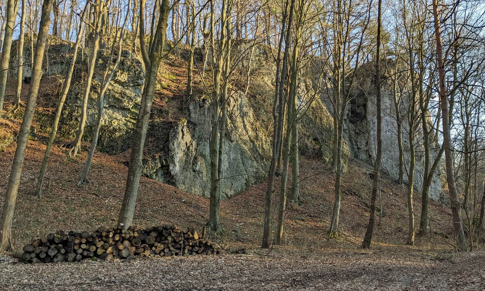 Formacje skalne w Wąwozie Ostryszni w Imbramowicach