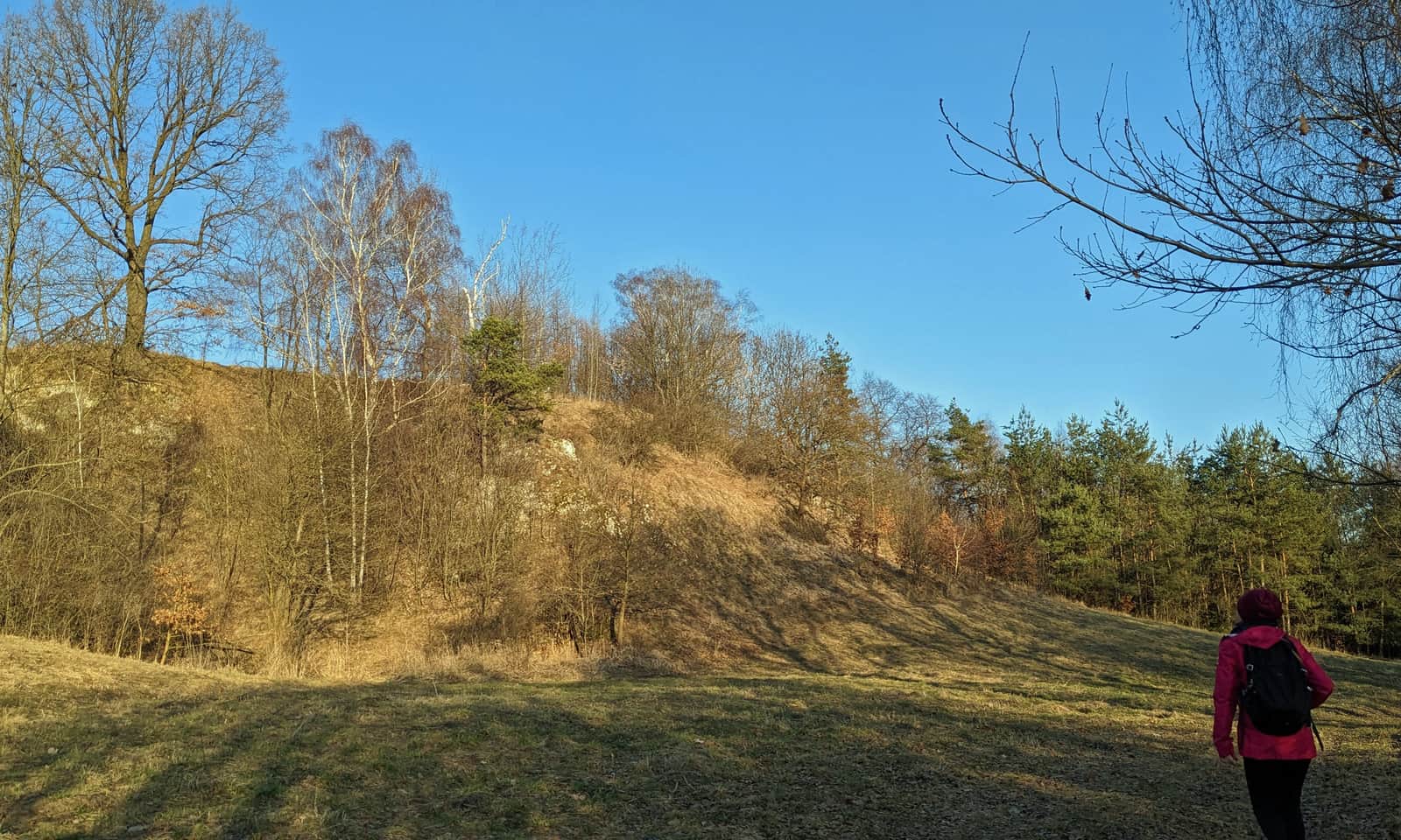 Dolna część Wąwozu Ostryszni - tuż przed dojściem do Imbramowic