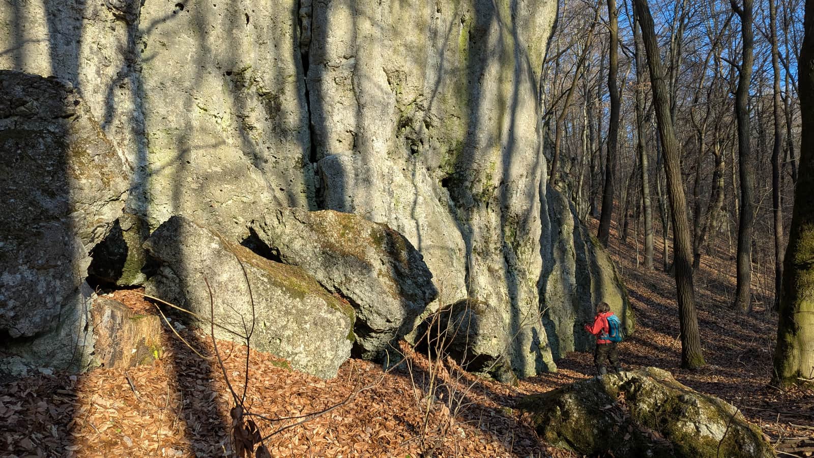 Ostryszni Gorge in the Dłubnia Landscape Park