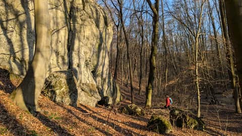 Formacje skalne w Wąwozie Ostryszni w Imbramowicach