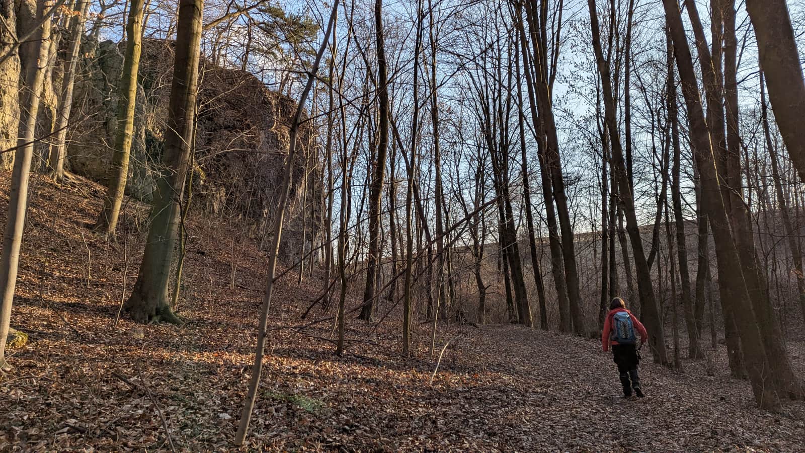 Ostryszni Gorge in Imbramowice