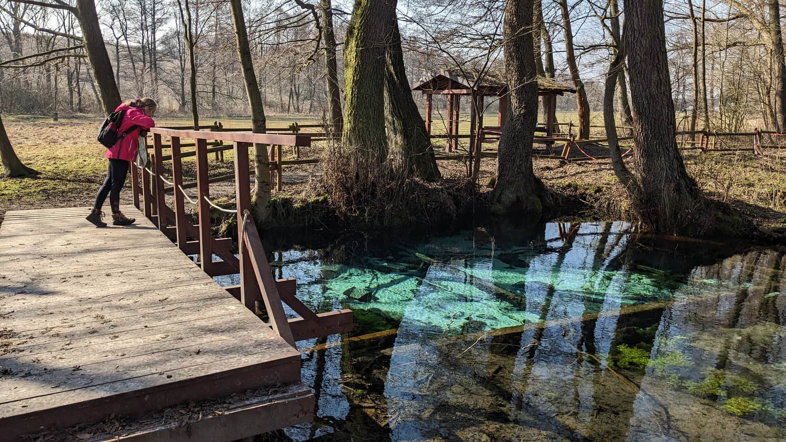 źródło Jordan w Ściborzycach