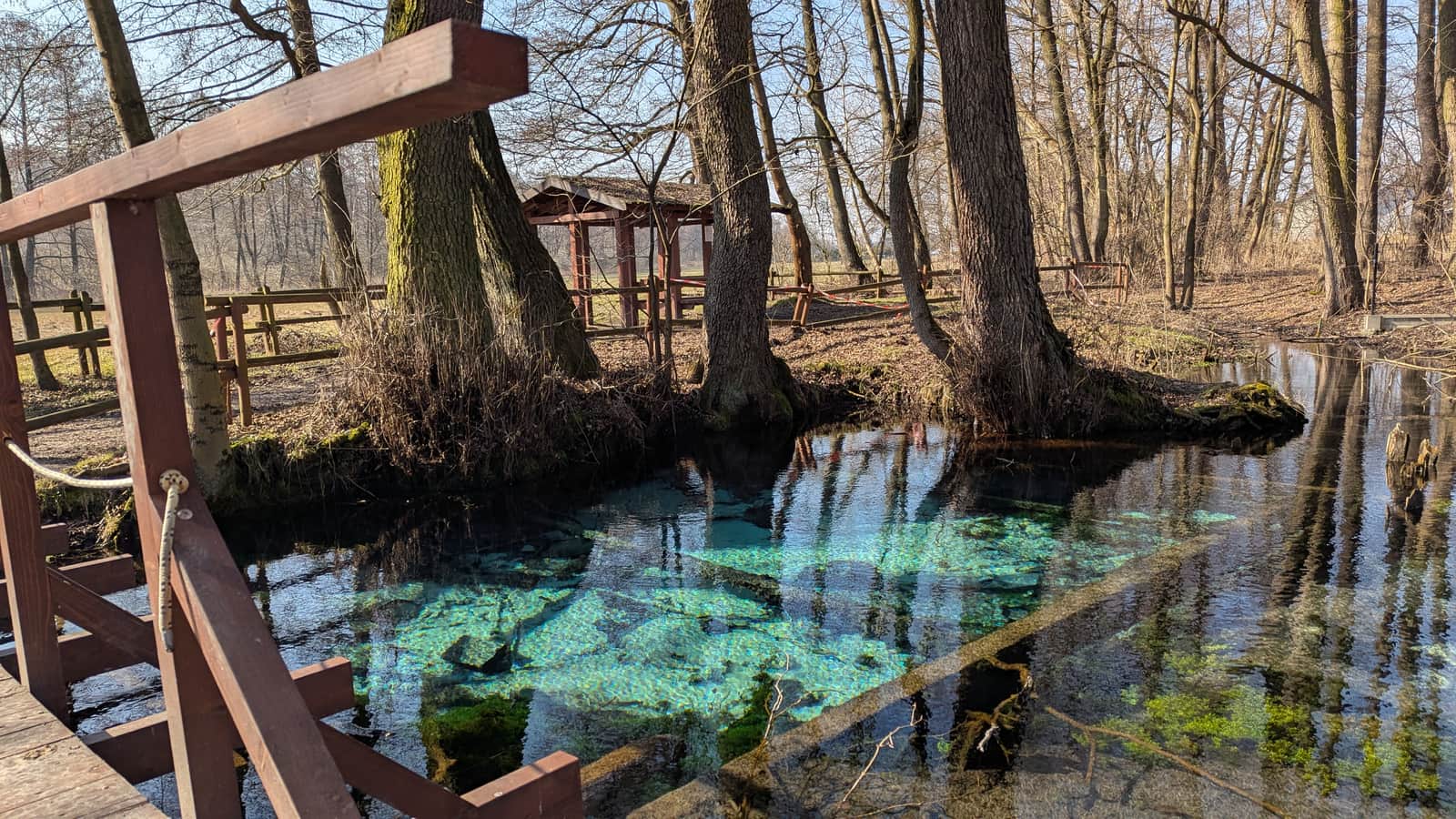 Źródło Jordan w Dolinie Dłubni w Ściborzycach