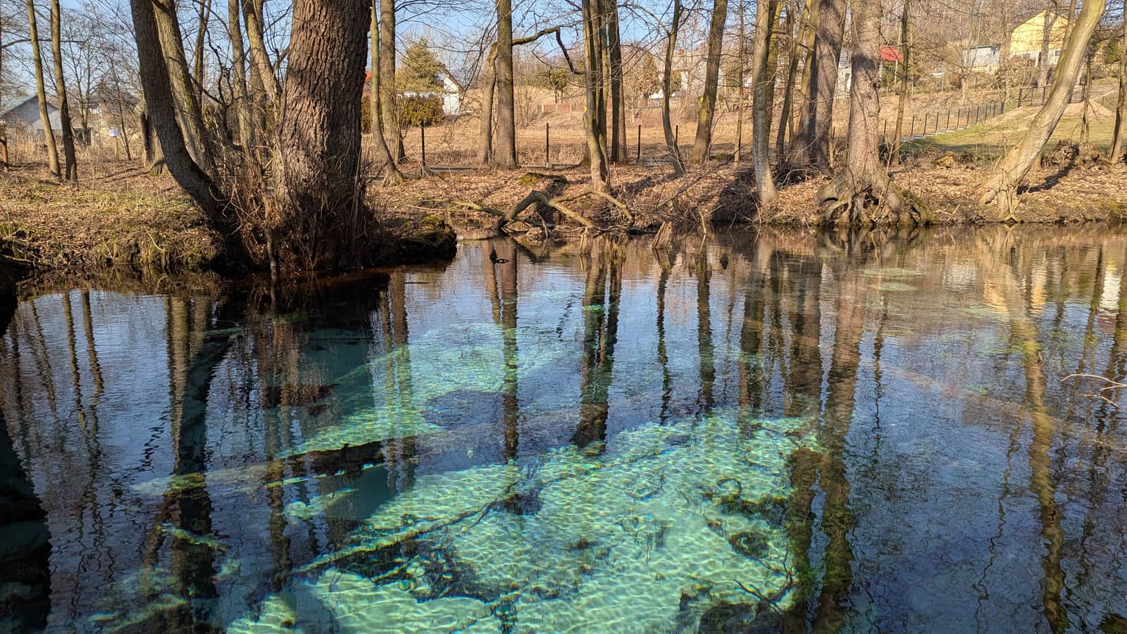 Źródło Jordan w Dolinie Dłubni w Ściborzycach