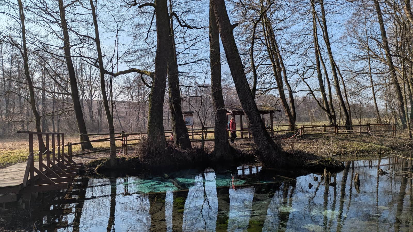 Źródło Jordan w Dolinie Dłubni w Ściborzycach