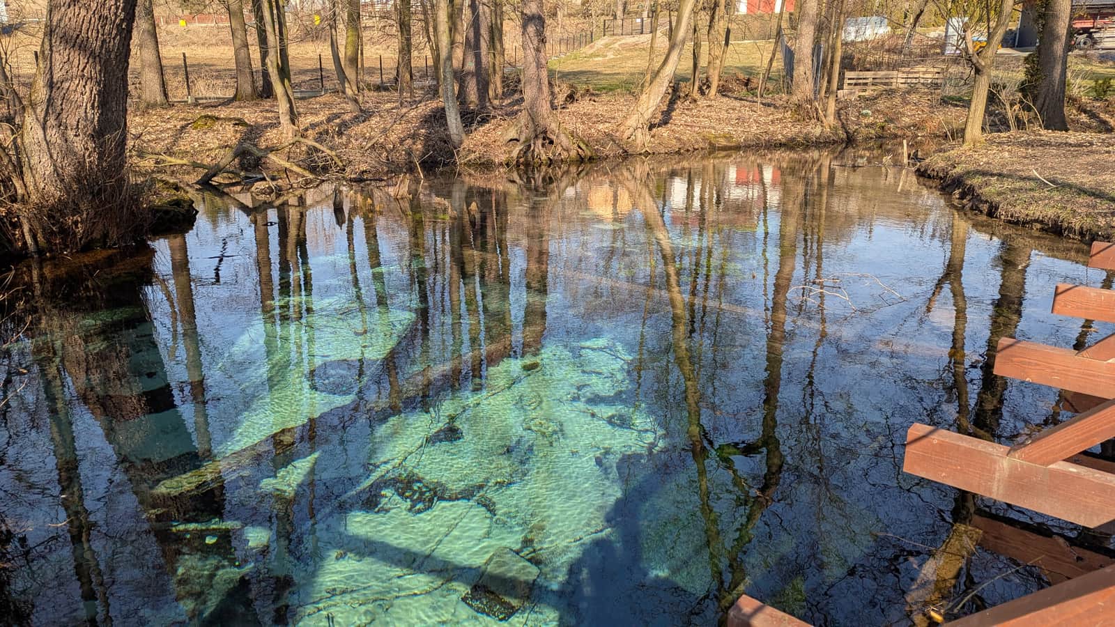 Źródło Jordan w Dolinie Dłubni w Ściborzycach