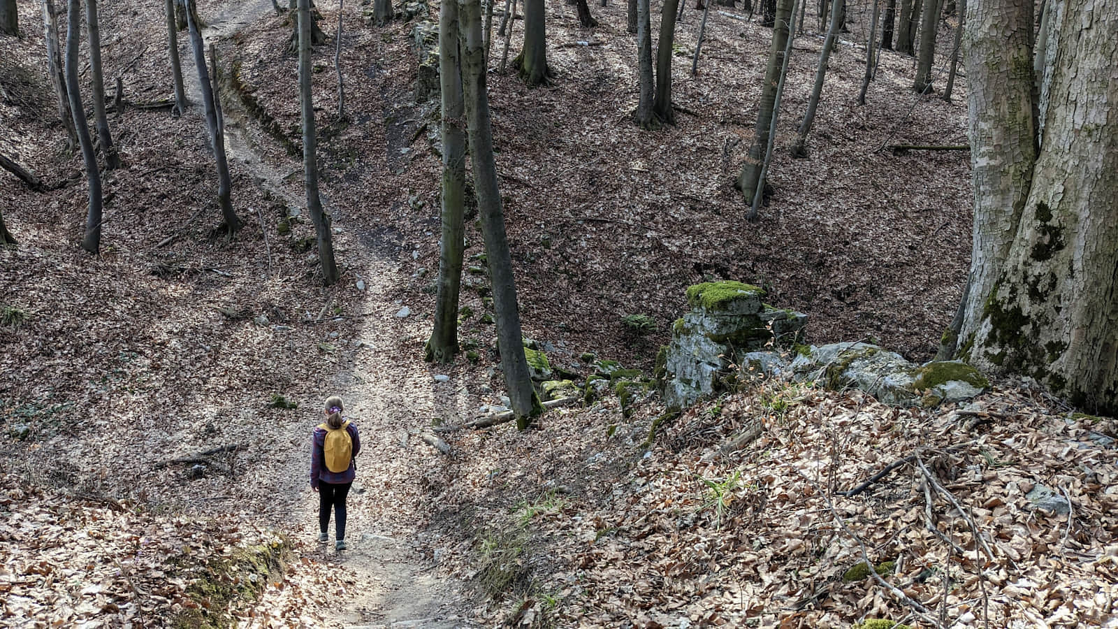 Spacer wzdłuż ruin muru