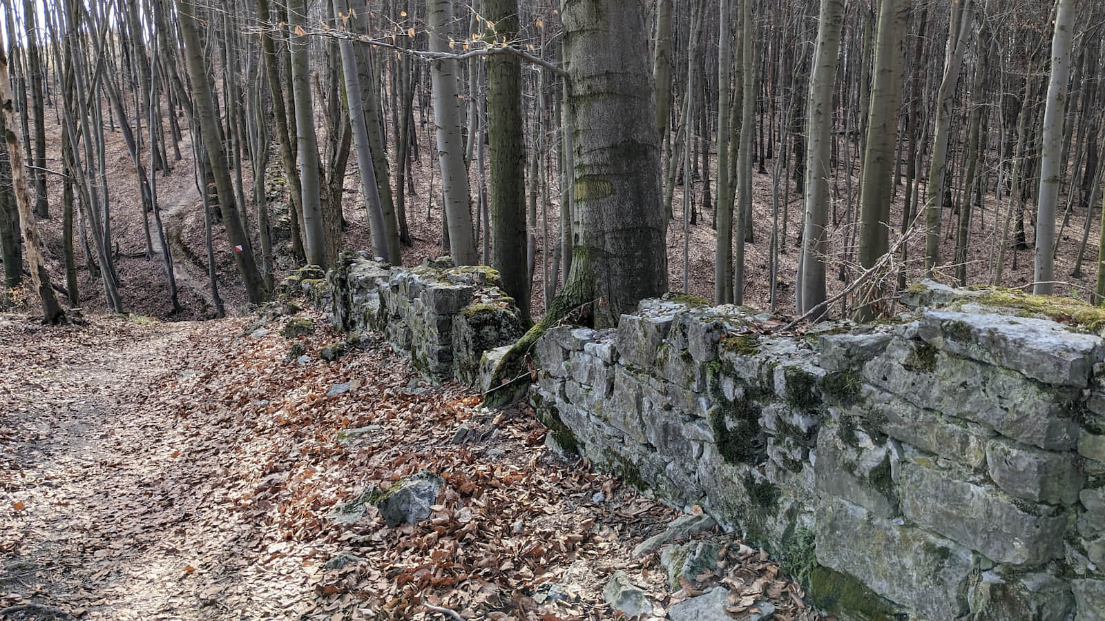 Ruiny muru Wielkiej Klauzuli