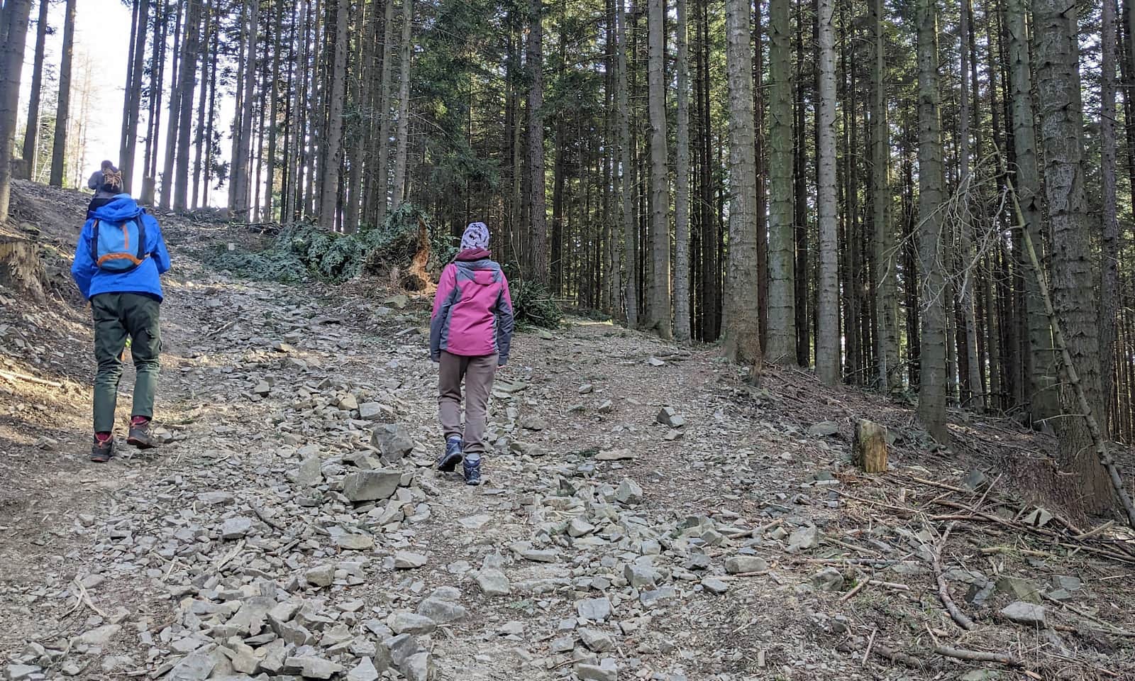 Żółty szlak z Porąbki na Kiczerę - pierwsze strome podejście