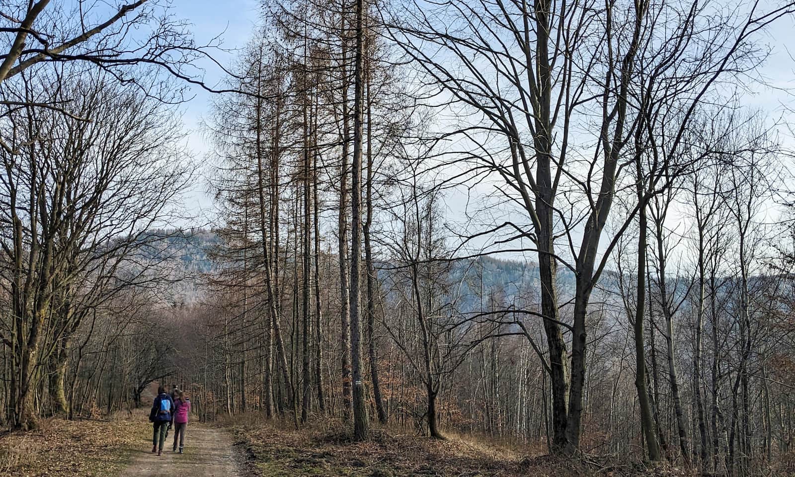 Żółty szlak z Porąbki na Kiczerę - przed nami cel wędrówki!