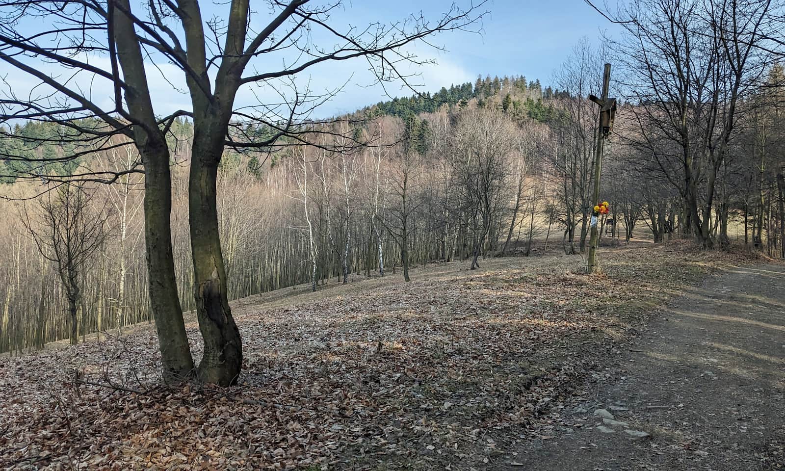 Żółty szlak z Porąbki na Kiczerę - ostatnia widokowa polanka i zaczynamy wspinaczkę!