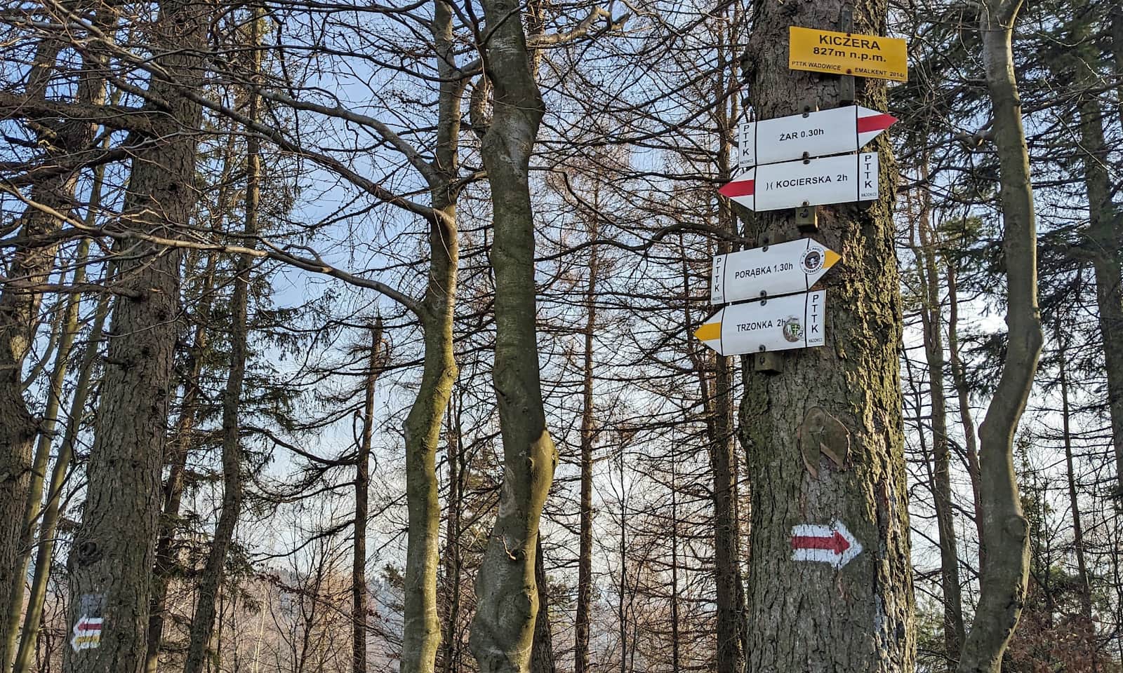 Żółty szlak z Porąbki na Kiczerę - szczyt Kiczery, 827 m n.p.m.