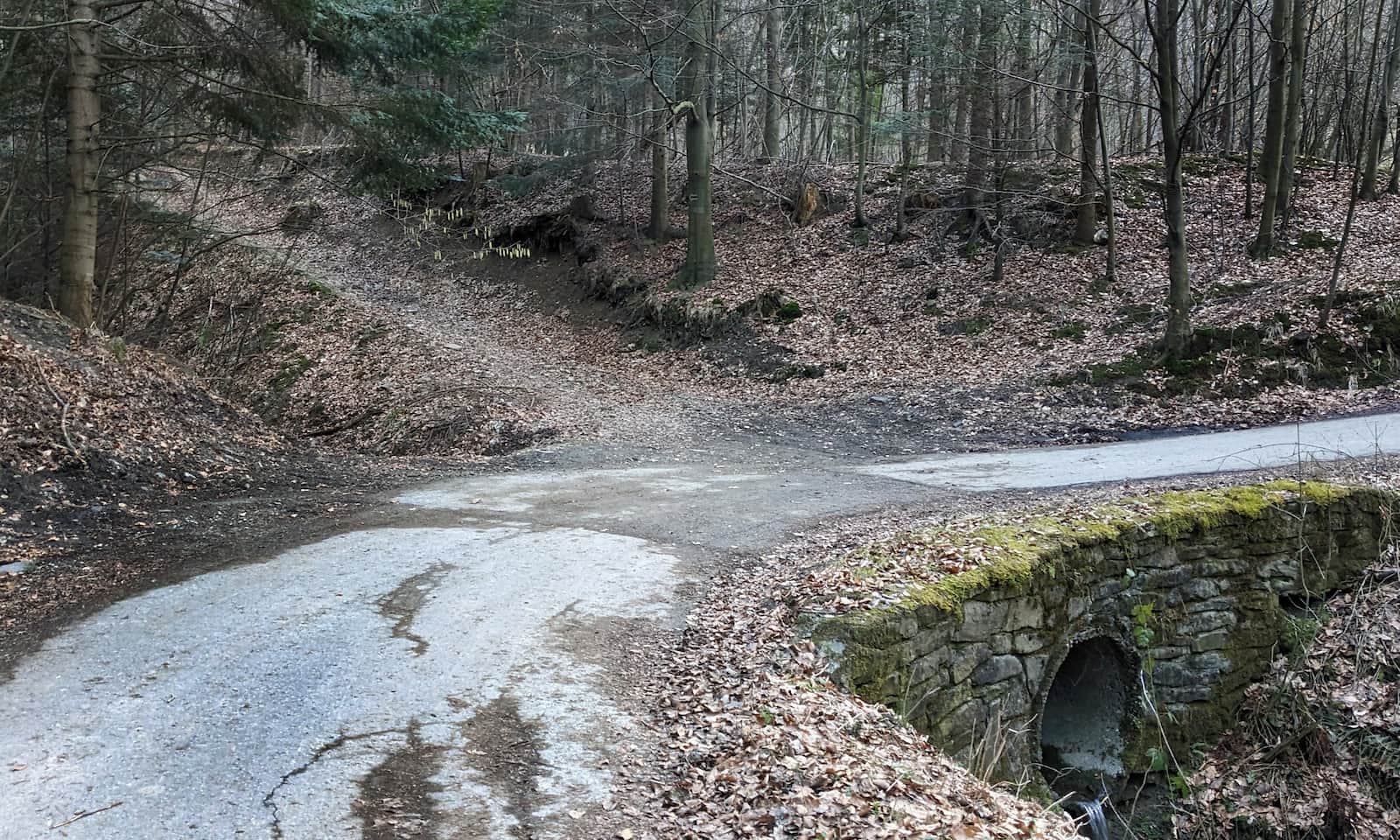 Z Kozubnika na Żar - tu z asfaltu skręcamy w lewo, w las