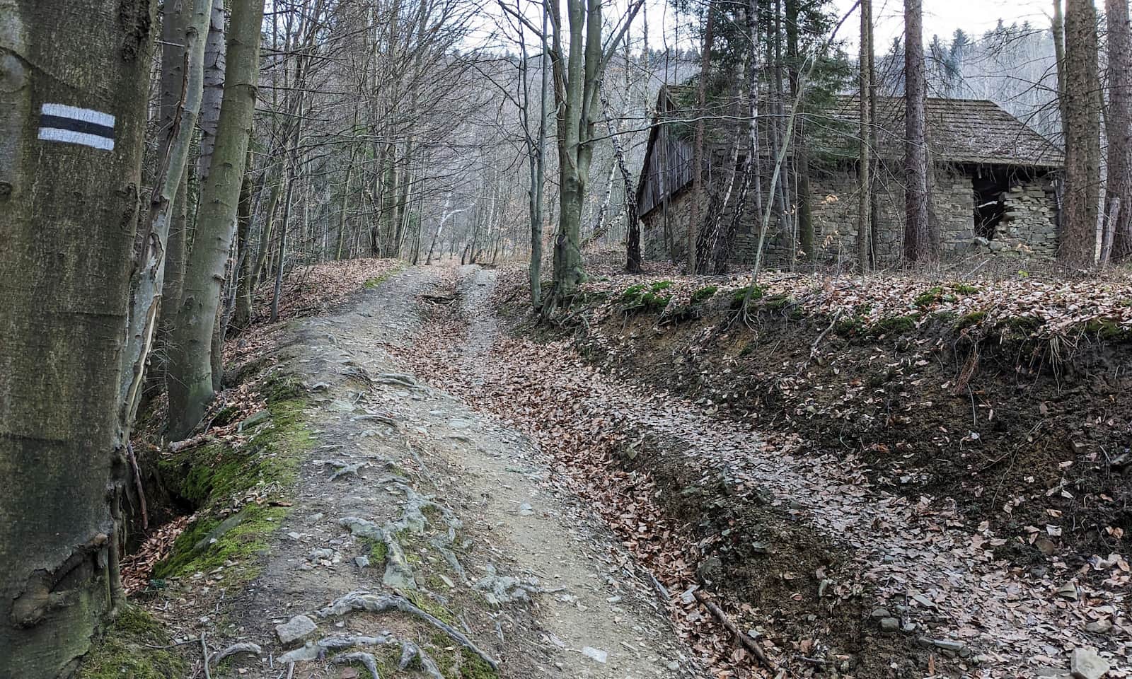 Z Kozubnika na Żar. Kamienna szopa, tzw. letniok przy szlaku.
