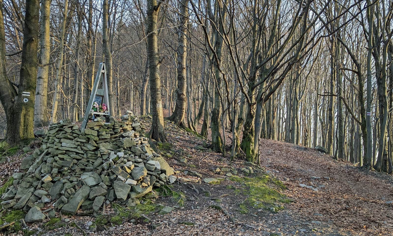 Z Kozubnika na Żar. Koniec czarnego szlaku - od tego momentu kierujemy się za czerwonymi szlakami w lewo.