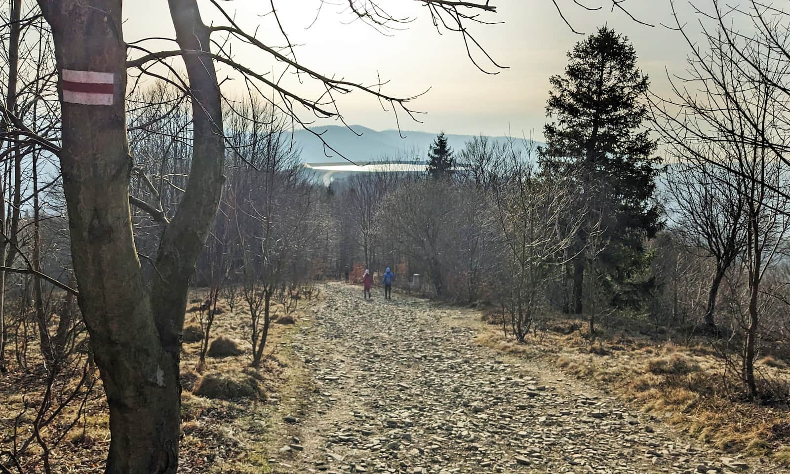 Czerwony szlak z Żaru na Kiczerę