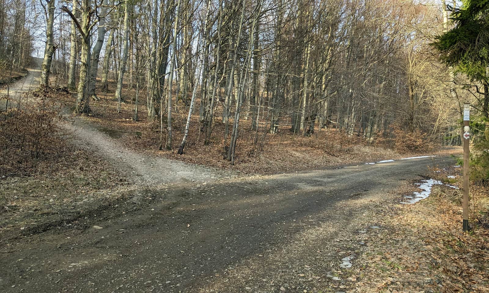 Z Żaru na Kiczerę - tu skręcamy w ścieżkę w lewo