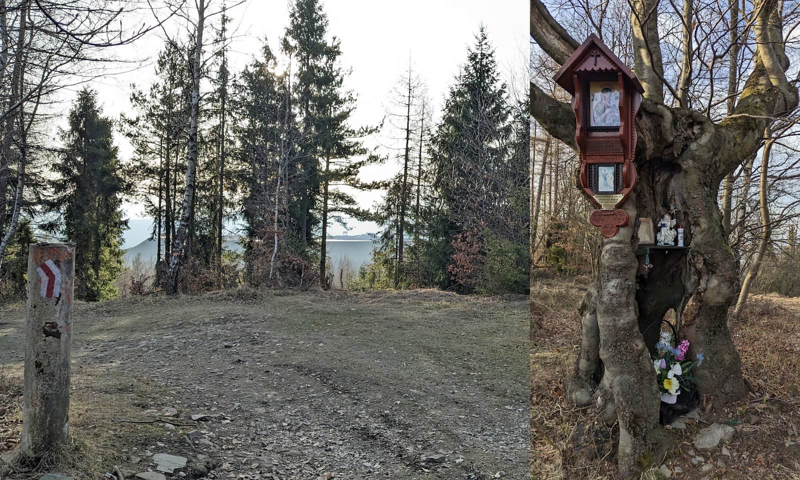 Bukowa kapliczka przy szlaku z Góry Żar na Kiczerę