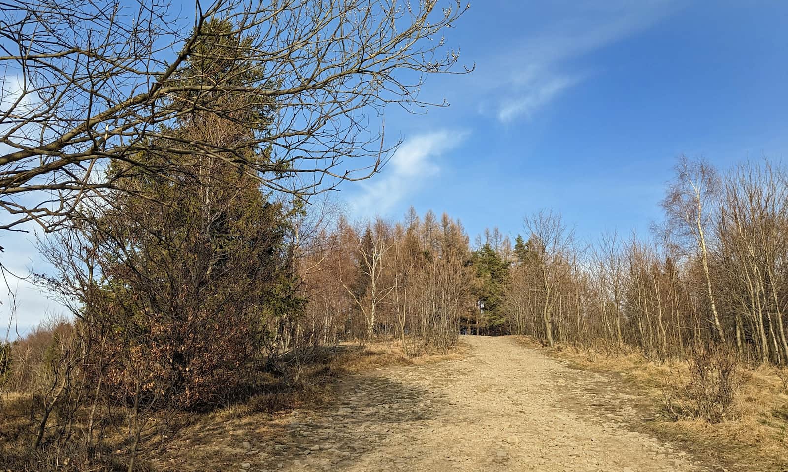 Z Żaru na Kiczerę - ostatni odcinek podejścia na szczyt