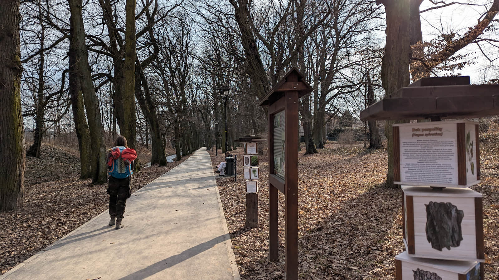 Spacer wzdłuż potoku Krzeszówka