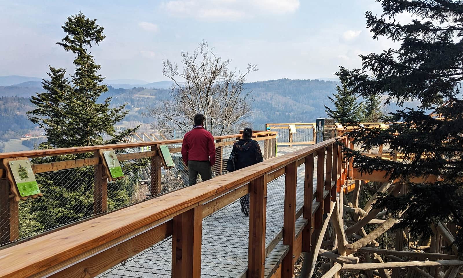 Skolnity - nowa wieża i ścieżka w koronach drzew w Wiśle