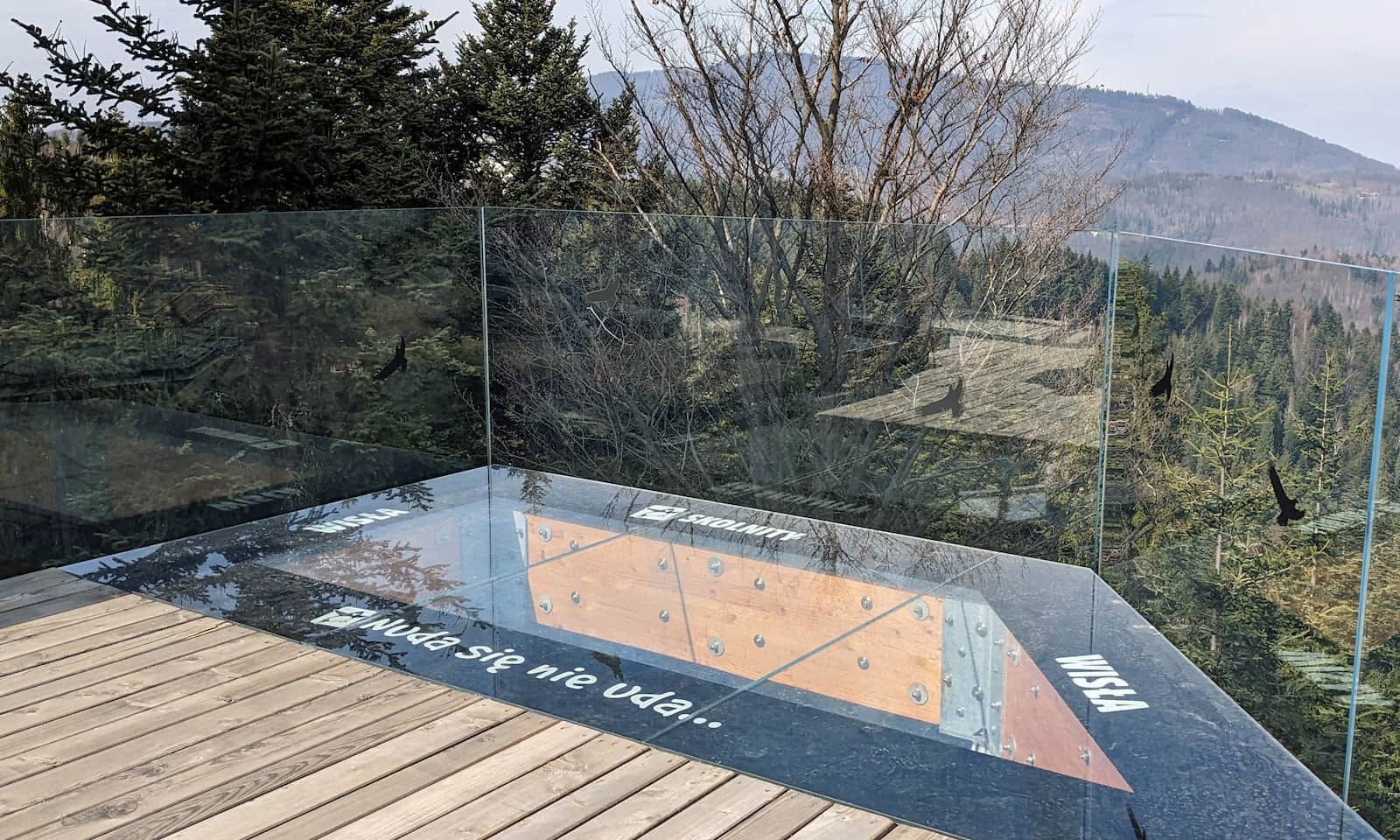 Skolnity - nowa wieża i ścieżka w koronach drzew w Wiśle. Punkt widokowy 