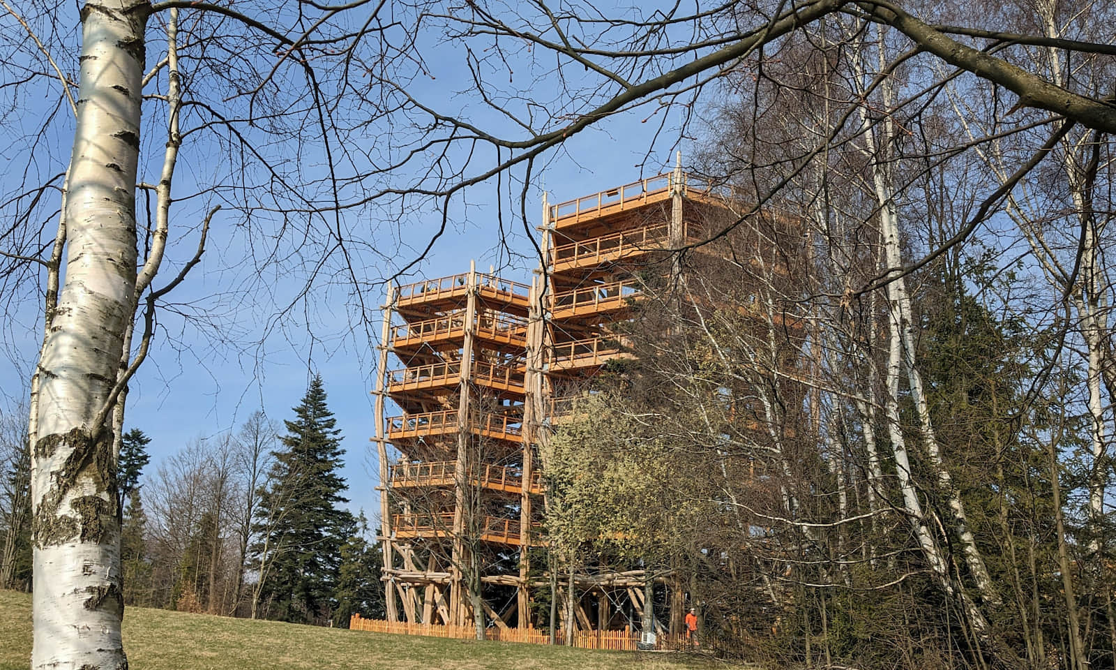 Skolnity - nowa wieża widokowa i ścieżka w koronach drzew w Wiśle