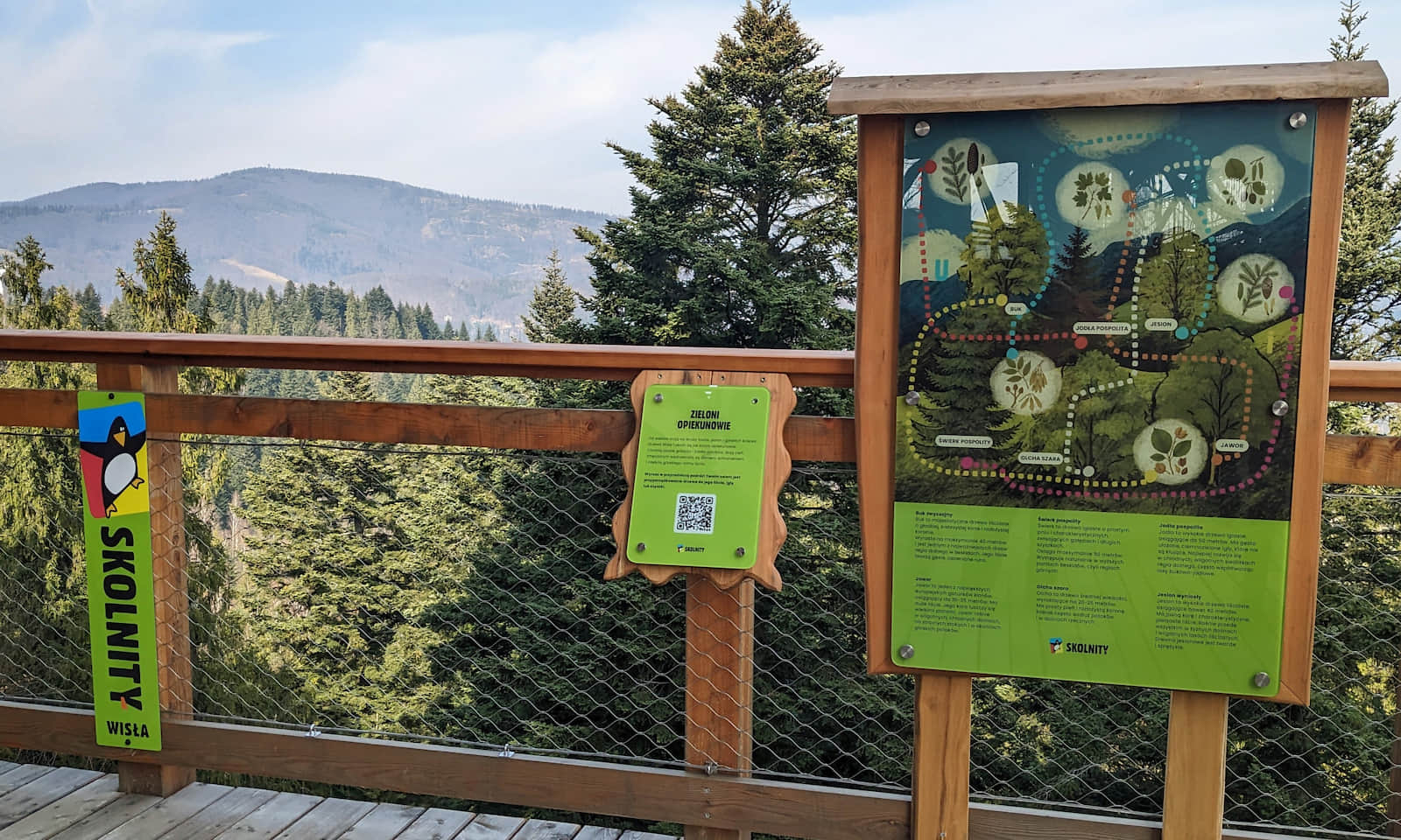 Skolnity - stanowiska edukacyjne na ścieżce w koronach drzew