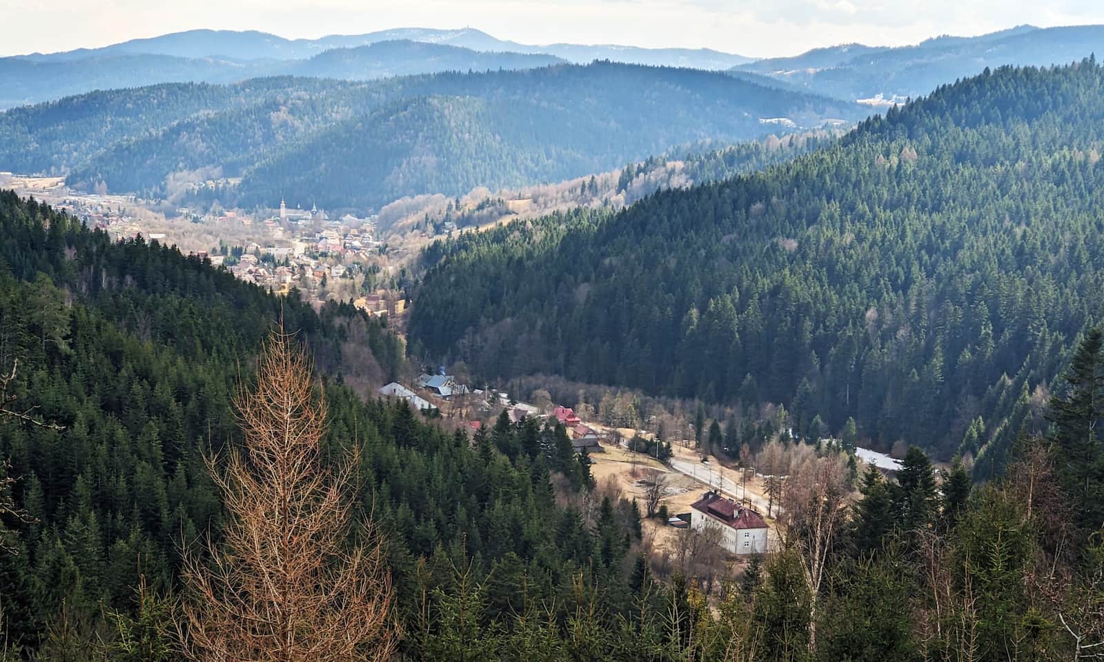 Szczawa w dolinie Kamienicy - widok z drogi na osiedle Buków
