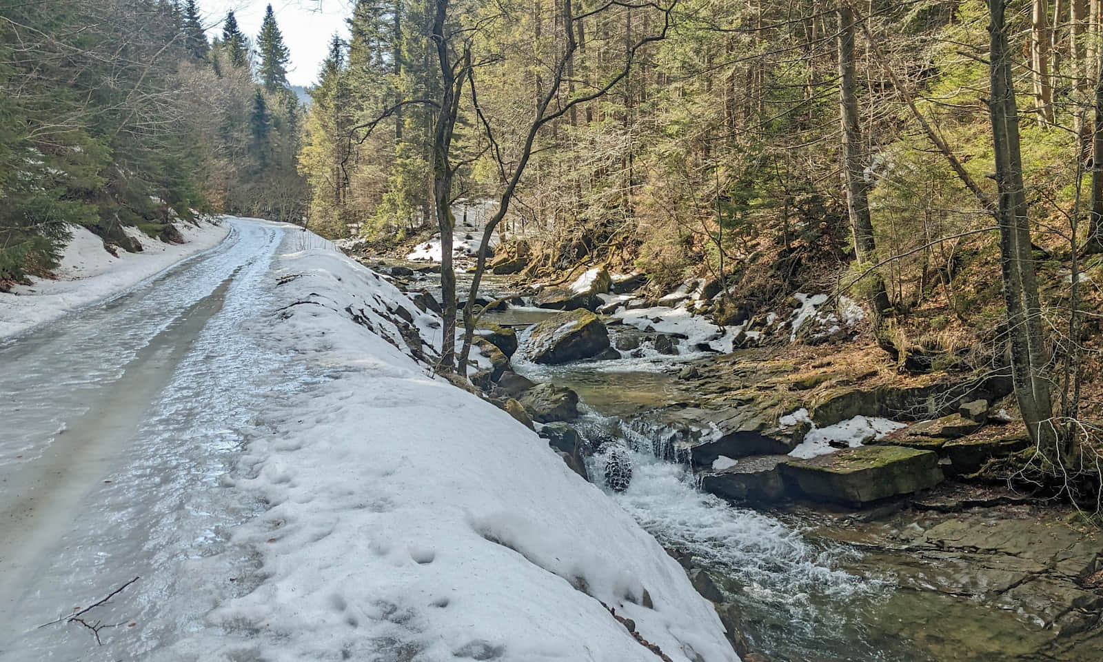 Dolina Kamienicy Gorczańskiej wczesną wiosną