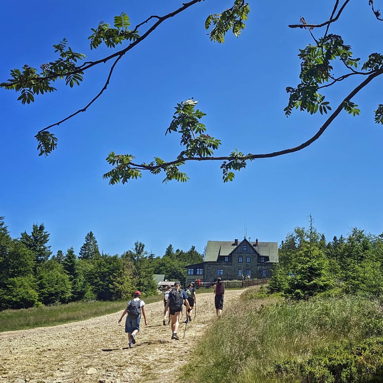 Z Szyndzielni na Klimczok