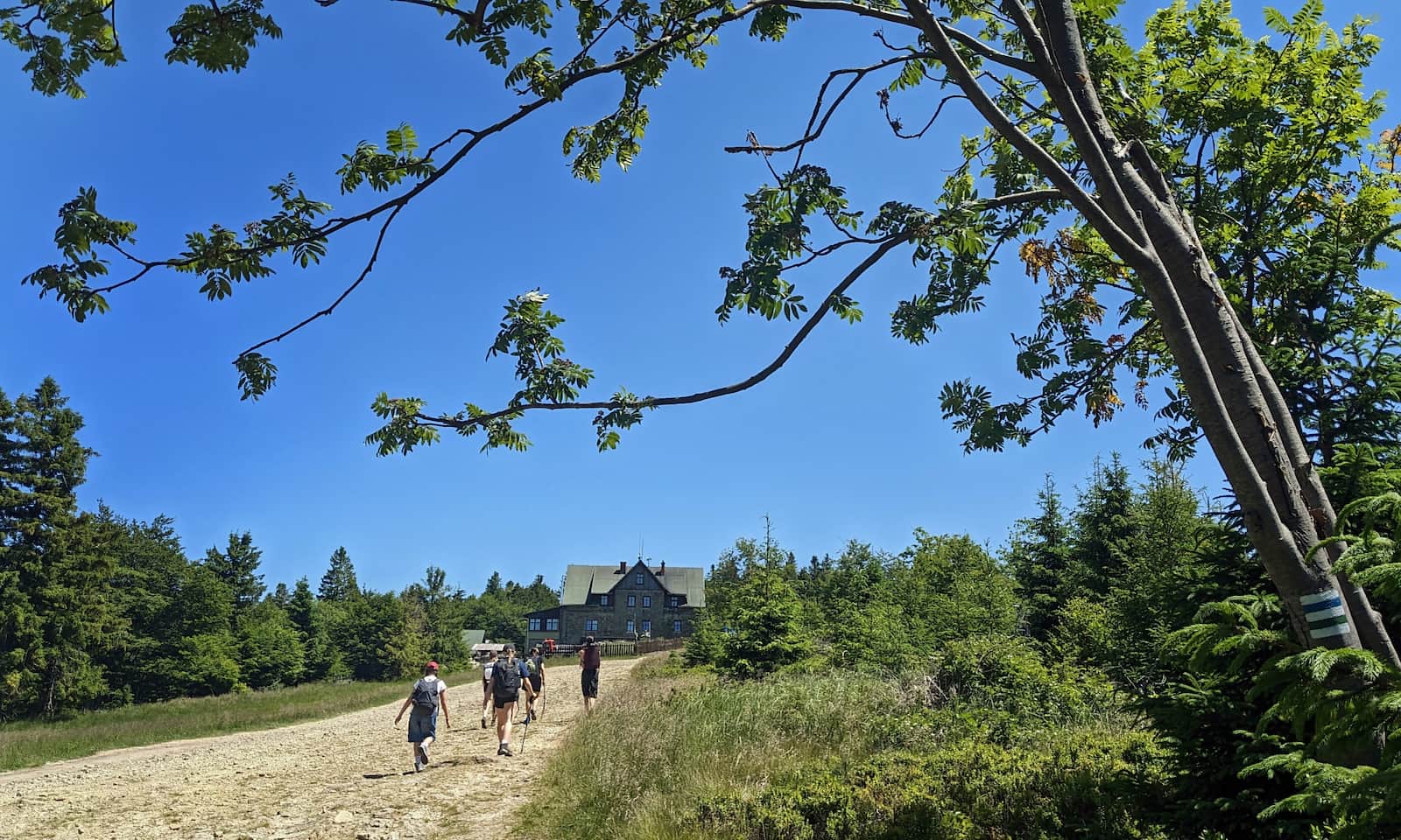 Klimczok - przejście spod szczytu do schroniska PTTK