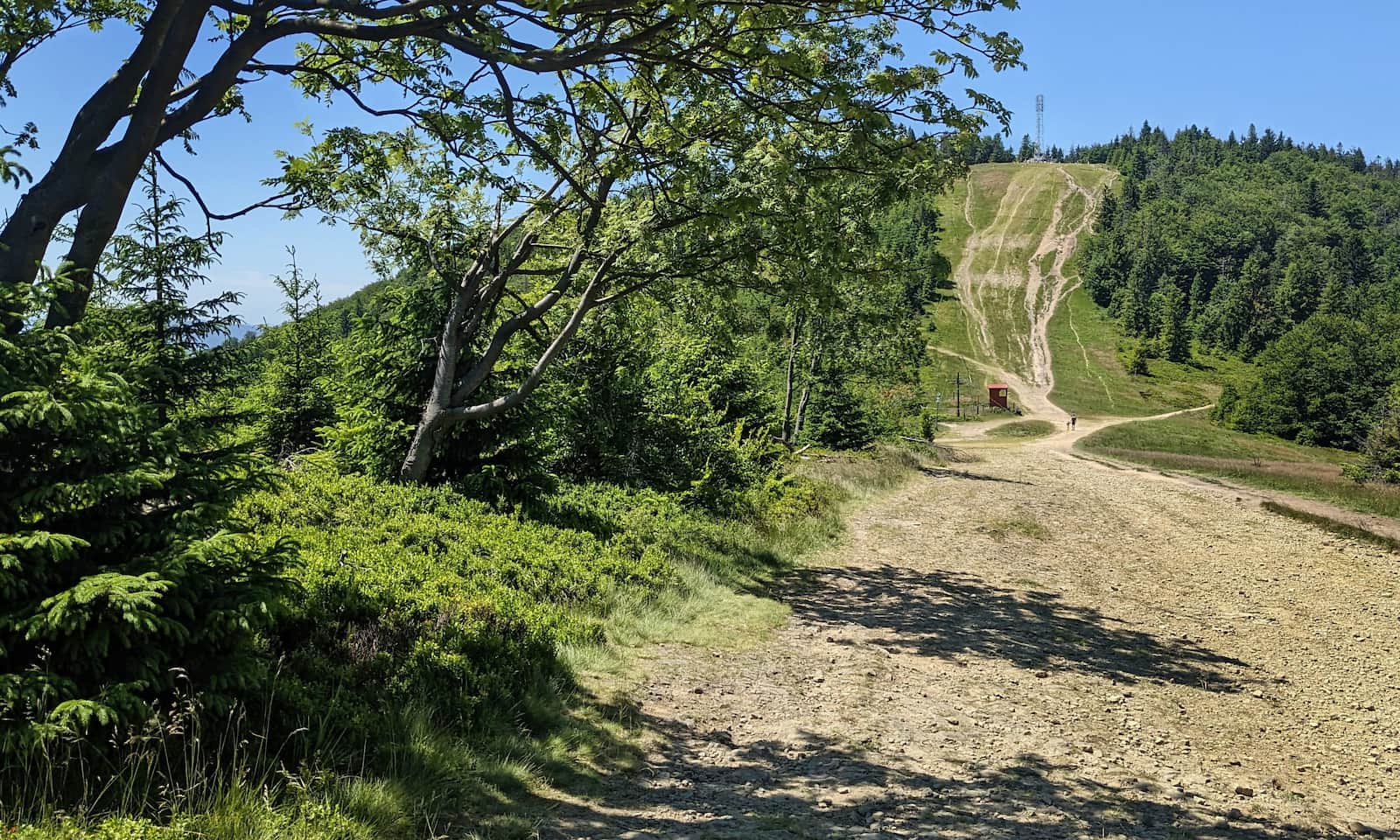 Szczyt Klimczoka widziany spod schroniska PTTK