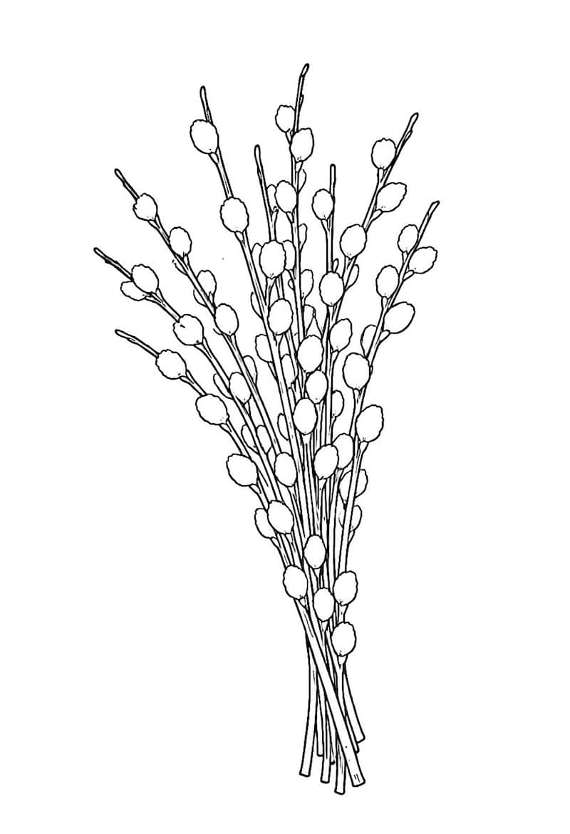 Bazie - kolorowanka dla dzieci pdf do wydruku