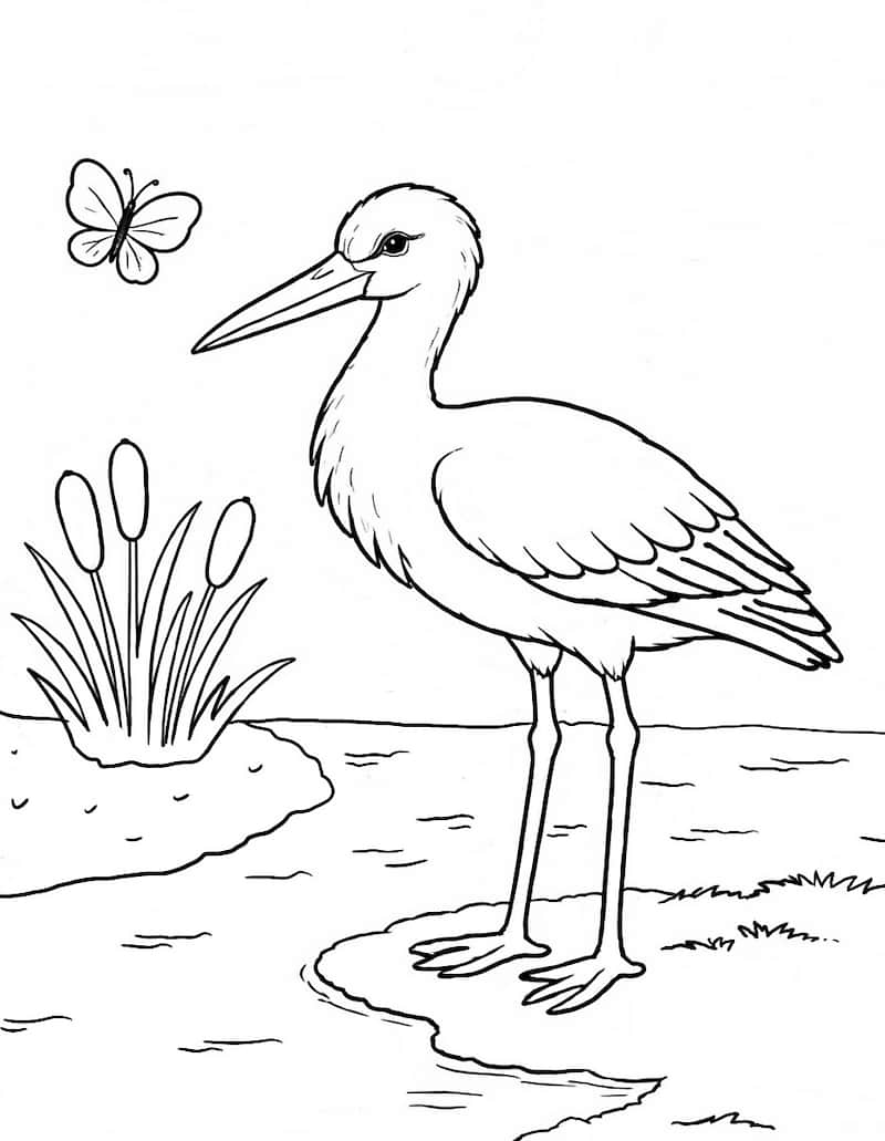 Bocian, wiosna - kolorowanka dla dzieci do wydruku