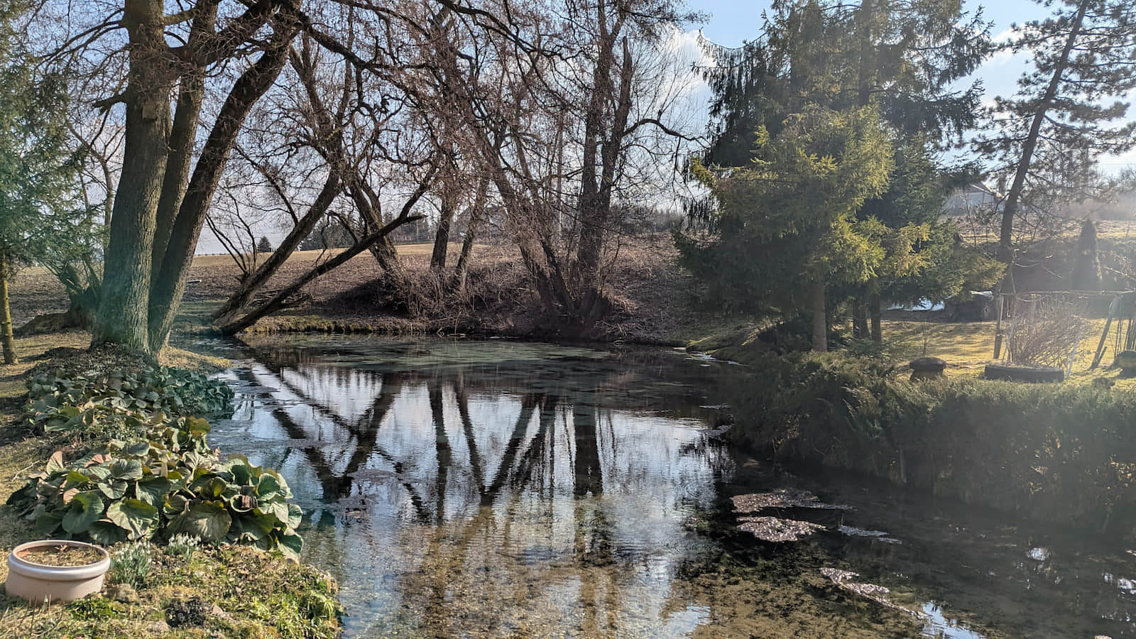 Źródło Hydrografów w Dolinie Dłubni
