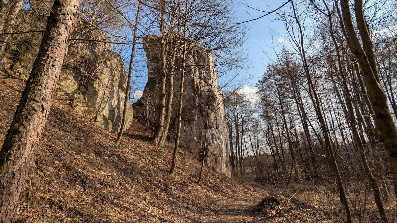 Dolina Dłubni w Imbramowicach