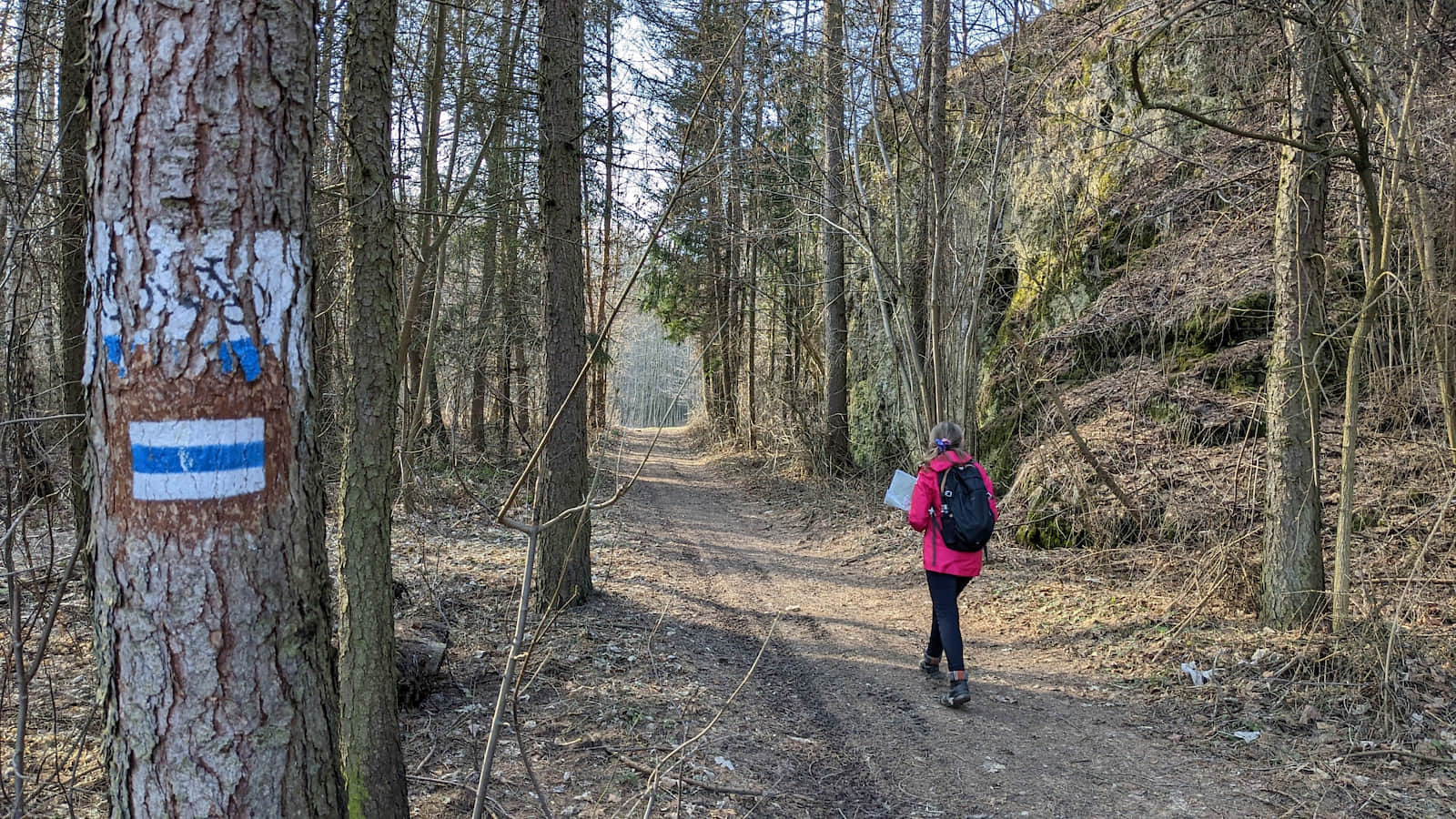 Niebieski szlak prowadzący przez Dolinę rzeki Dłubni, fot. Marta Mleczko