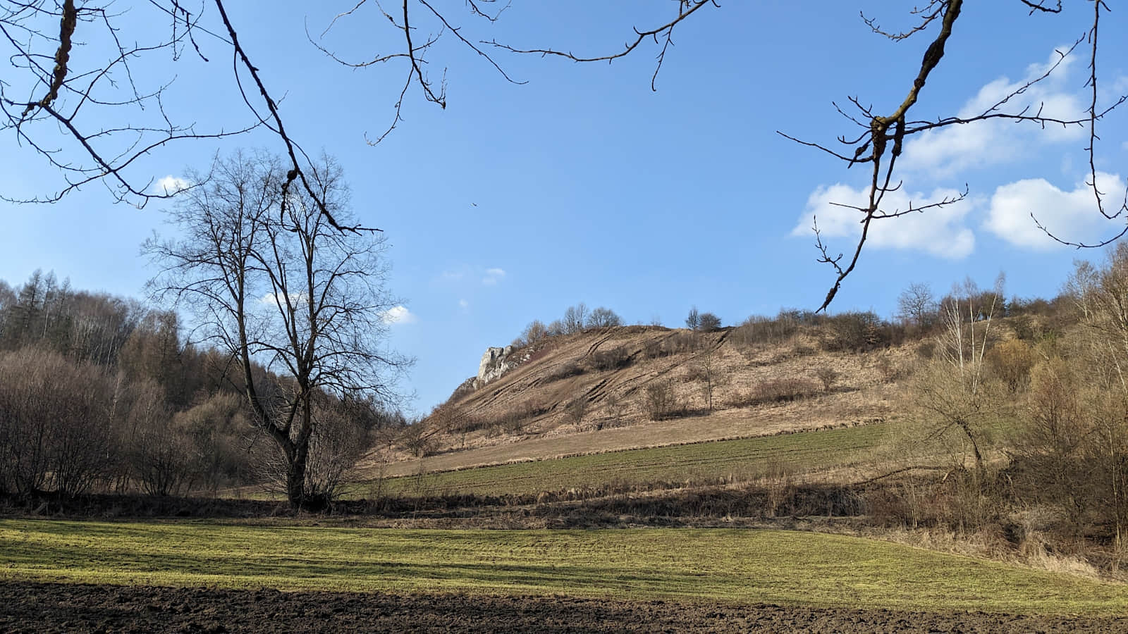 Punkt widokowy w Dolinie Dłubni, fot. Marta Mleczko