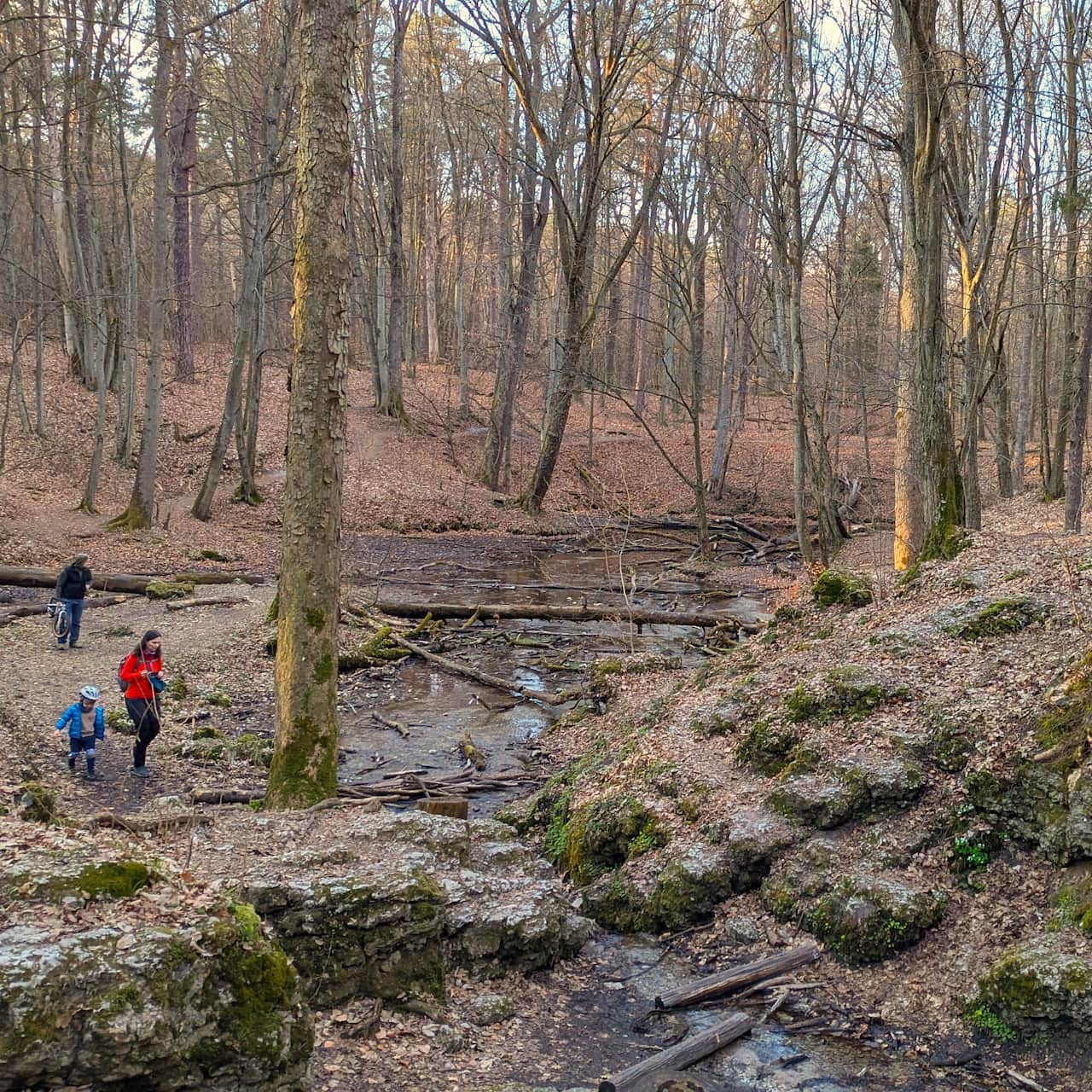 źródło Elżbiety i Zygmunta