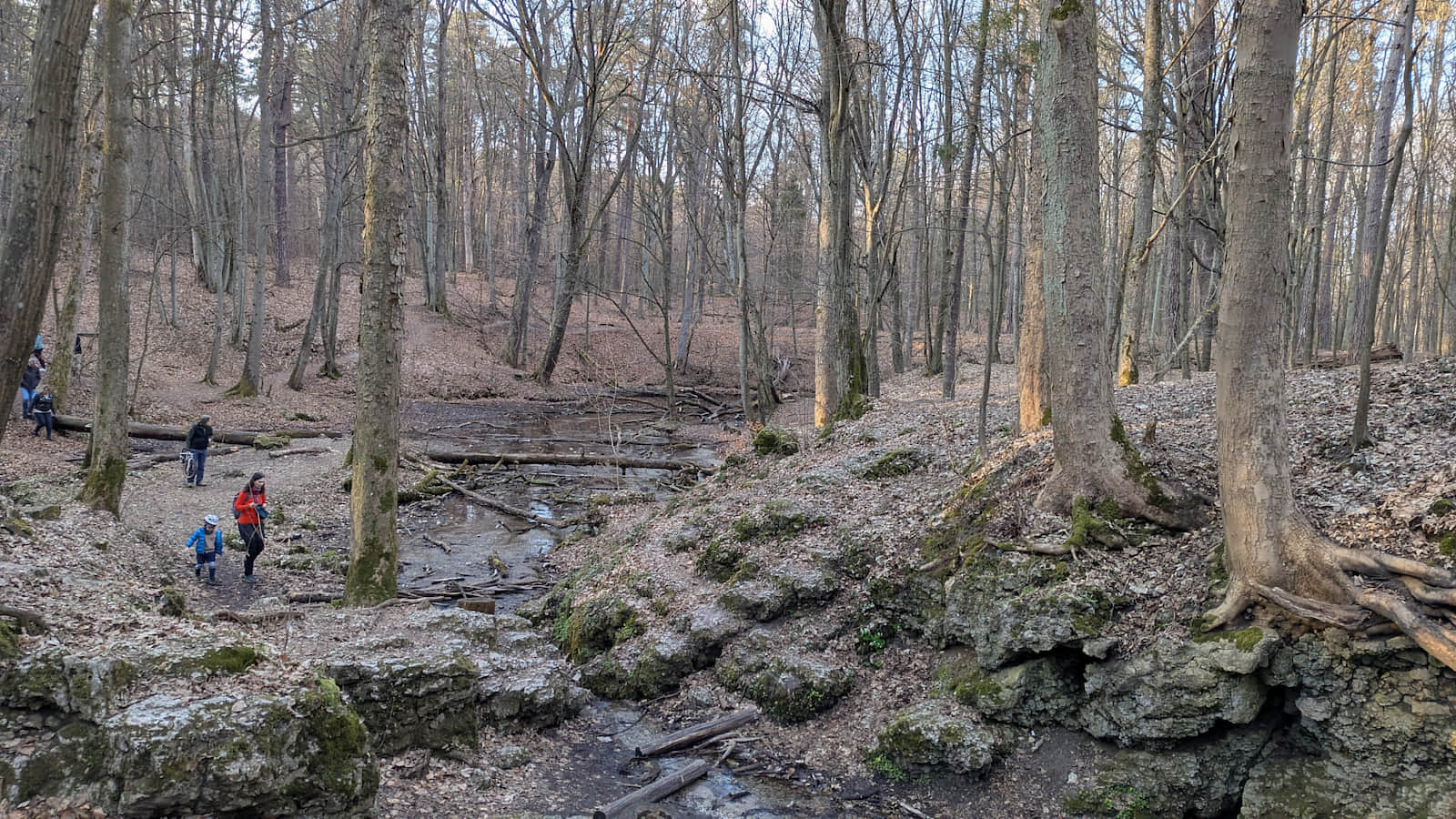 Źródła Elżbiety i Zygmunta w rezerwacie Parkowe 