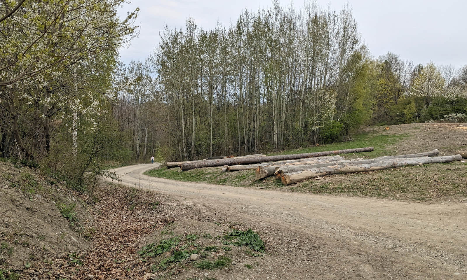 Czerwony szlak na Dębowiec - zamknięta dla ruchu samochodowego ul. Skalna