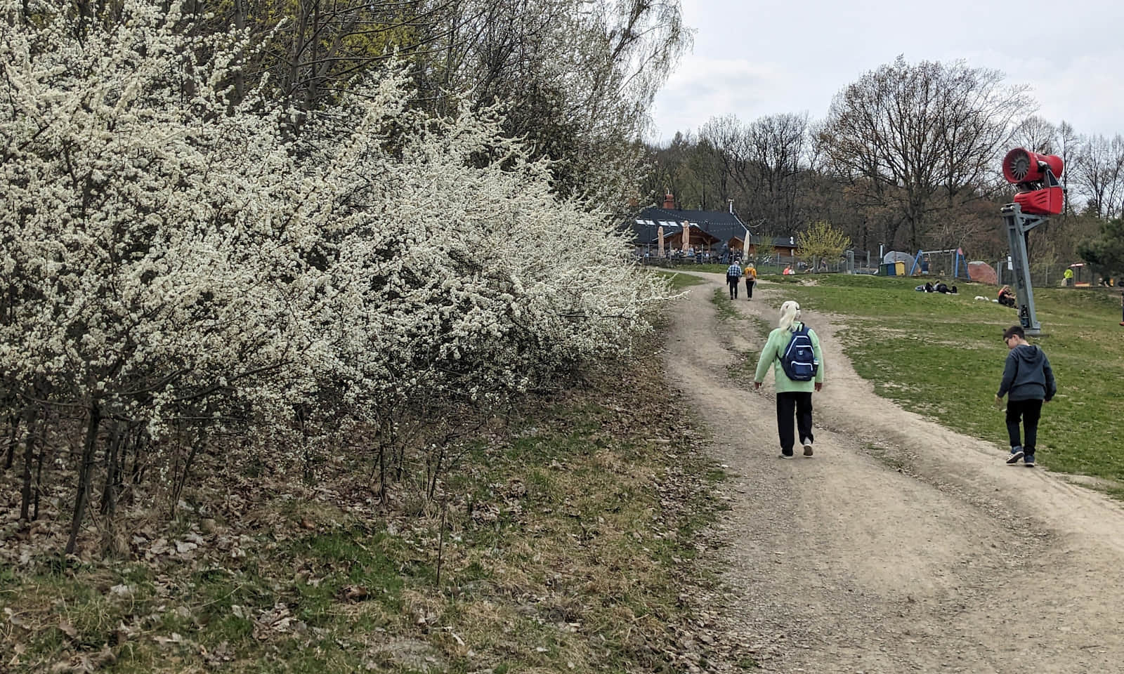 Ostatni odcinek podejścia na Dębowiec