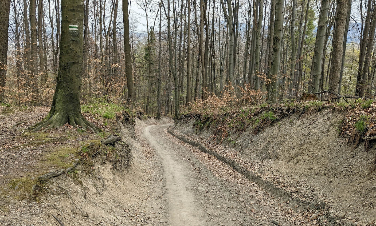 Zielony szlak na Szyndzielnię