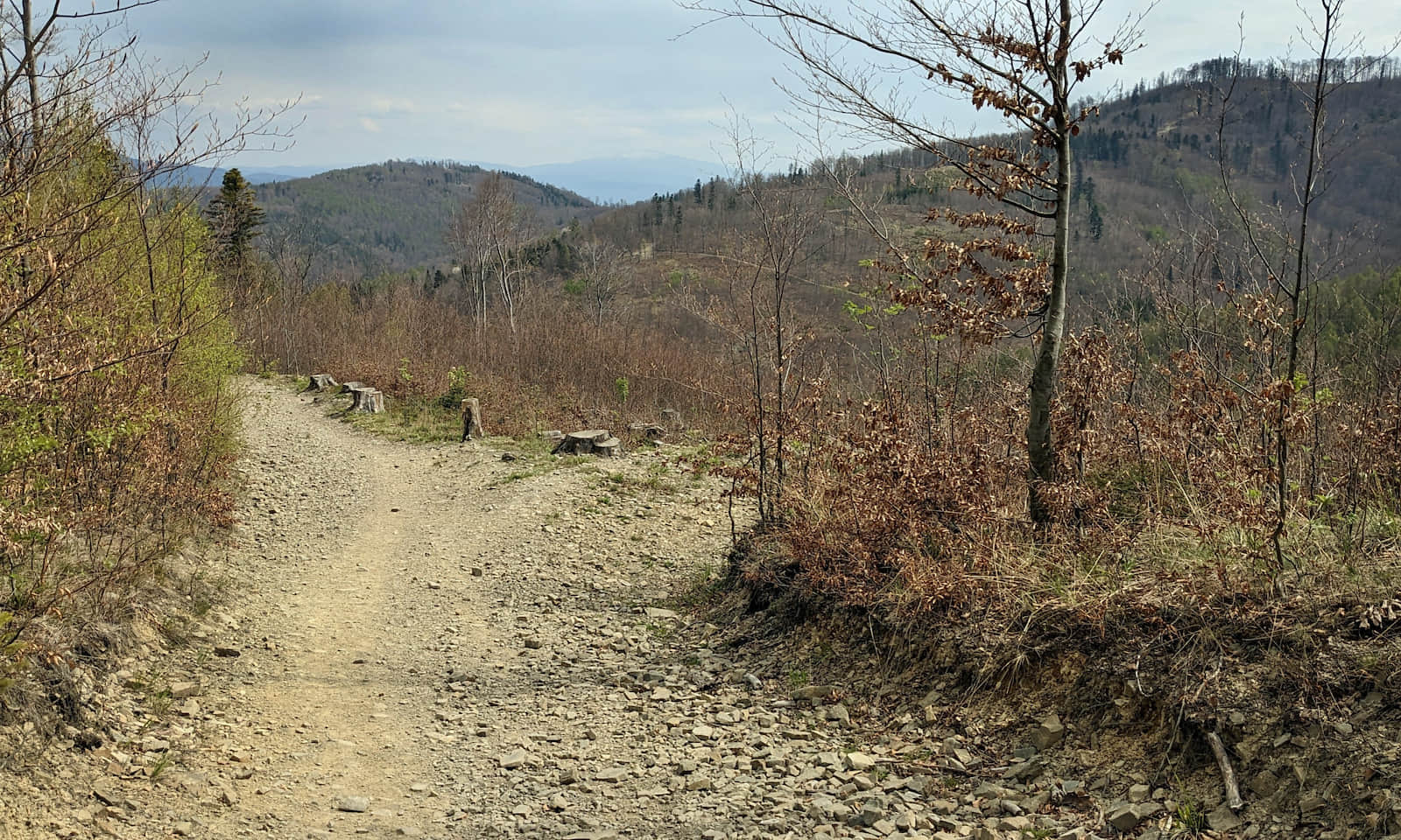 Miejsce widokowe zielonym szlaku na Szyndzielnię - na ostatnim planie Babia Góra 